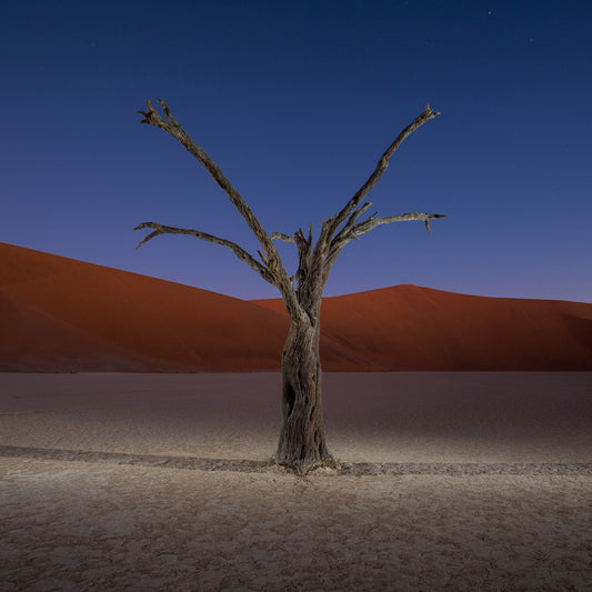 Deadvlei